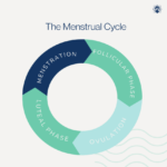 Understanding ovulation cycles to boost fertility